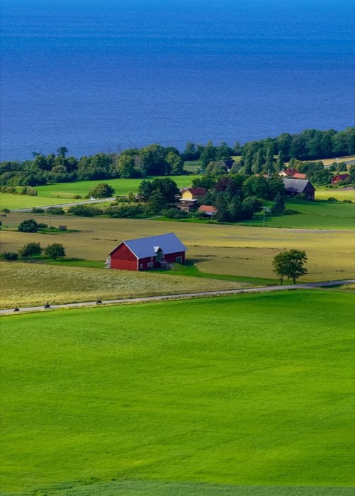 Aerial view of the farm